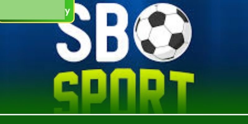 এসবিও স্পোর্ট: 8777BET-এ প্রতিদিন ১০০+ লাভজনক বেটিং মার্কেট